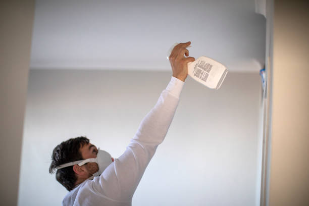 Best Mold Testing  in Mountain View, CA