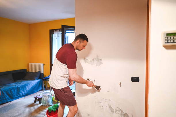 Best Black Mold Removal  in Mountain View, CA